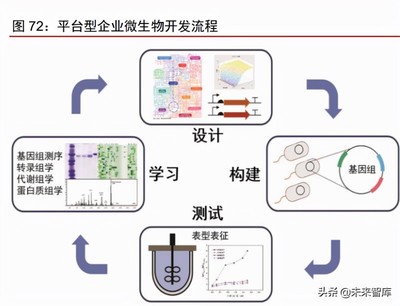 合成生物行業(yè)深度報(bào)告 合成生物學(xué)蓬勃發(fā)展，市場(chǎng)空間廣闊 軟件測(cè)試服務(wù)